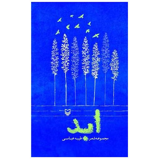 کتاب ابد اثر طیبه عباسی