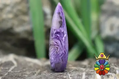 چاروئیت (بنفشان)