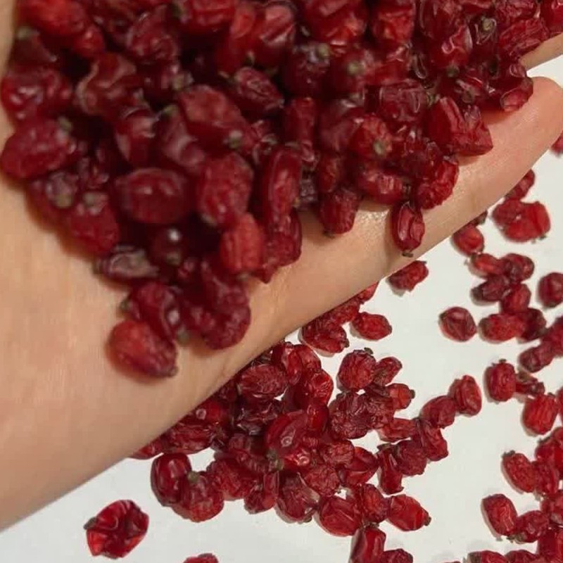 زرشک پفکی اصل قاینات عرضه بصورت کیلویی کارتن 9 کیلویی