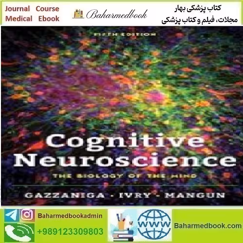 Cognitive Neuroscience The Biology of the Mind 2019
