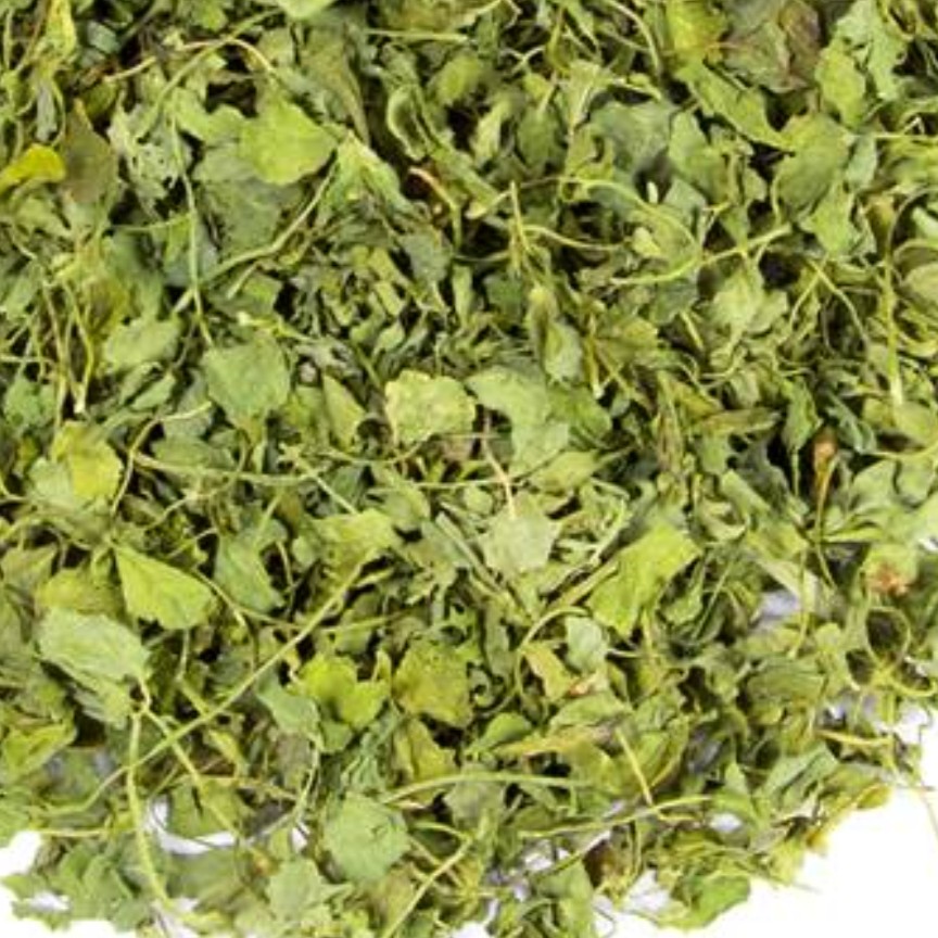 شنبلیله خشک 