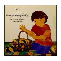کتاب از شکوفه تا درخت اثر رضی هیرمندی انتشارات کانون پرورش فکری کودکان و نوجوانان