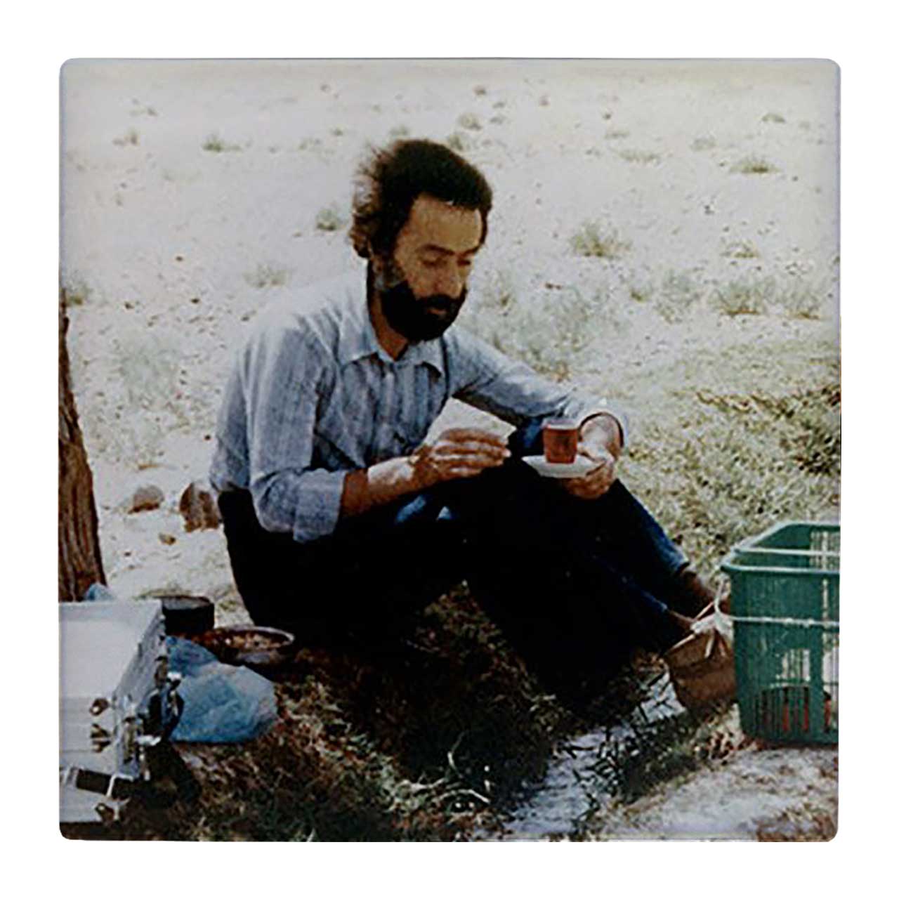 کاشی کارنیلا طرح سهراب سپهری کد wk530