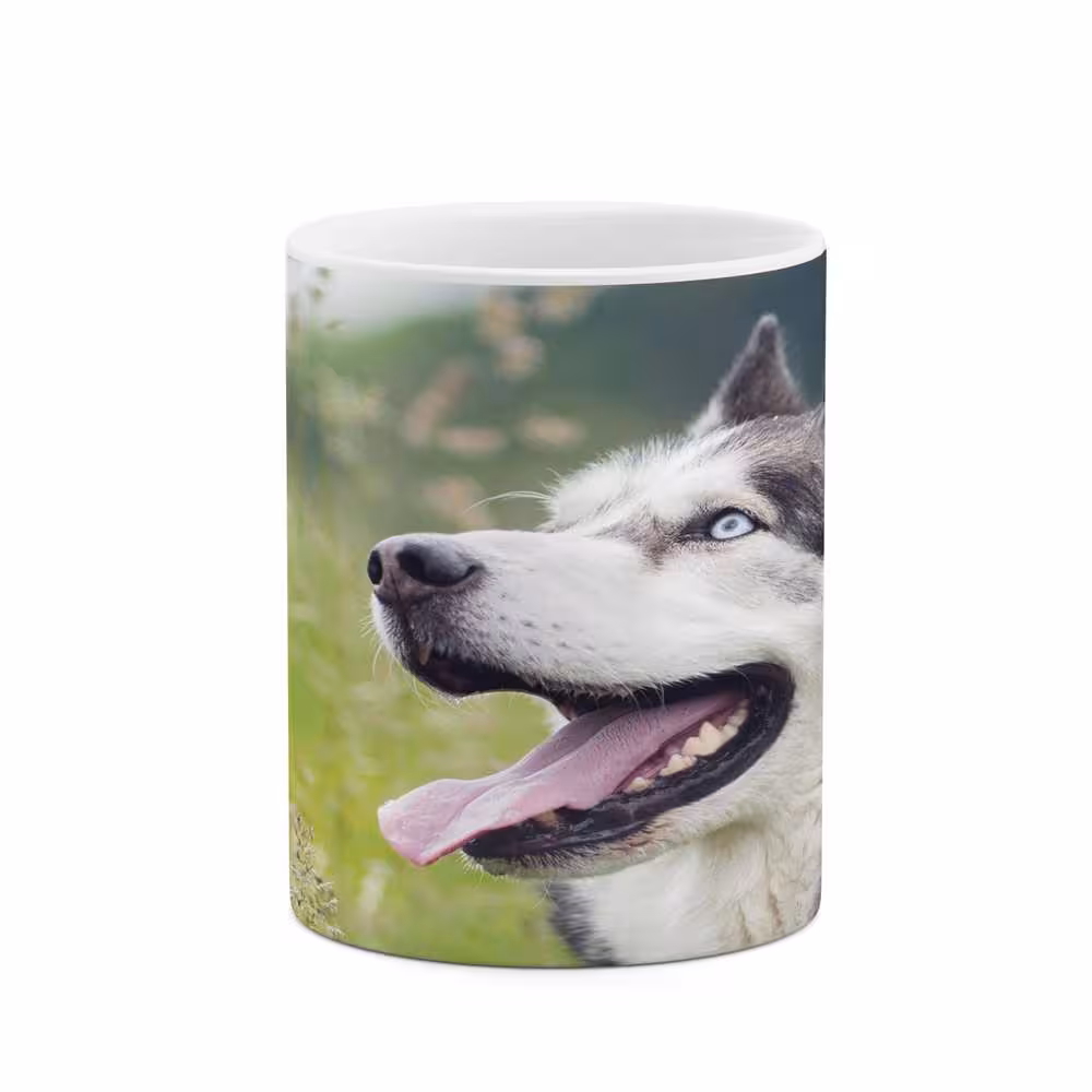 ماگ کاکتی طرح سگ مدل mgs16562