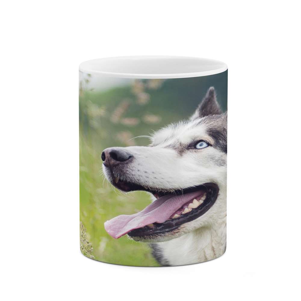 ماگ کاکتی طرح سگ مدل mgs16562