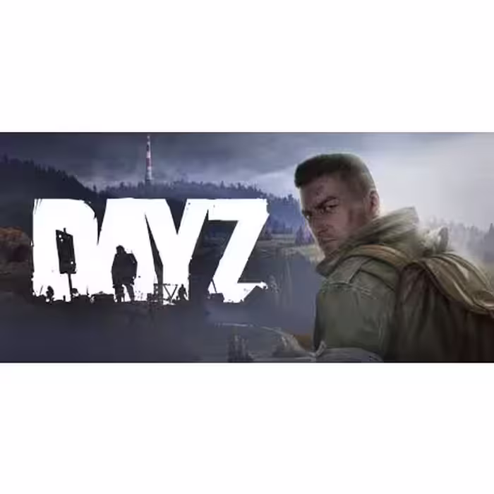 DayZ