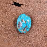 نگین فیروزه شجری کد 11494 - جواهری مشاهیر