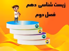 پاورپوینت زیست دهم رشته تجربی فصل دوم گوارش وجذب مواد از صفحه17 تا 32