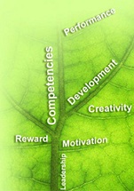 فایل استراتژی کارراهه شغلی