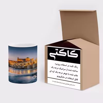 ماگ کاکتی طرح شهر مدل mgs13438