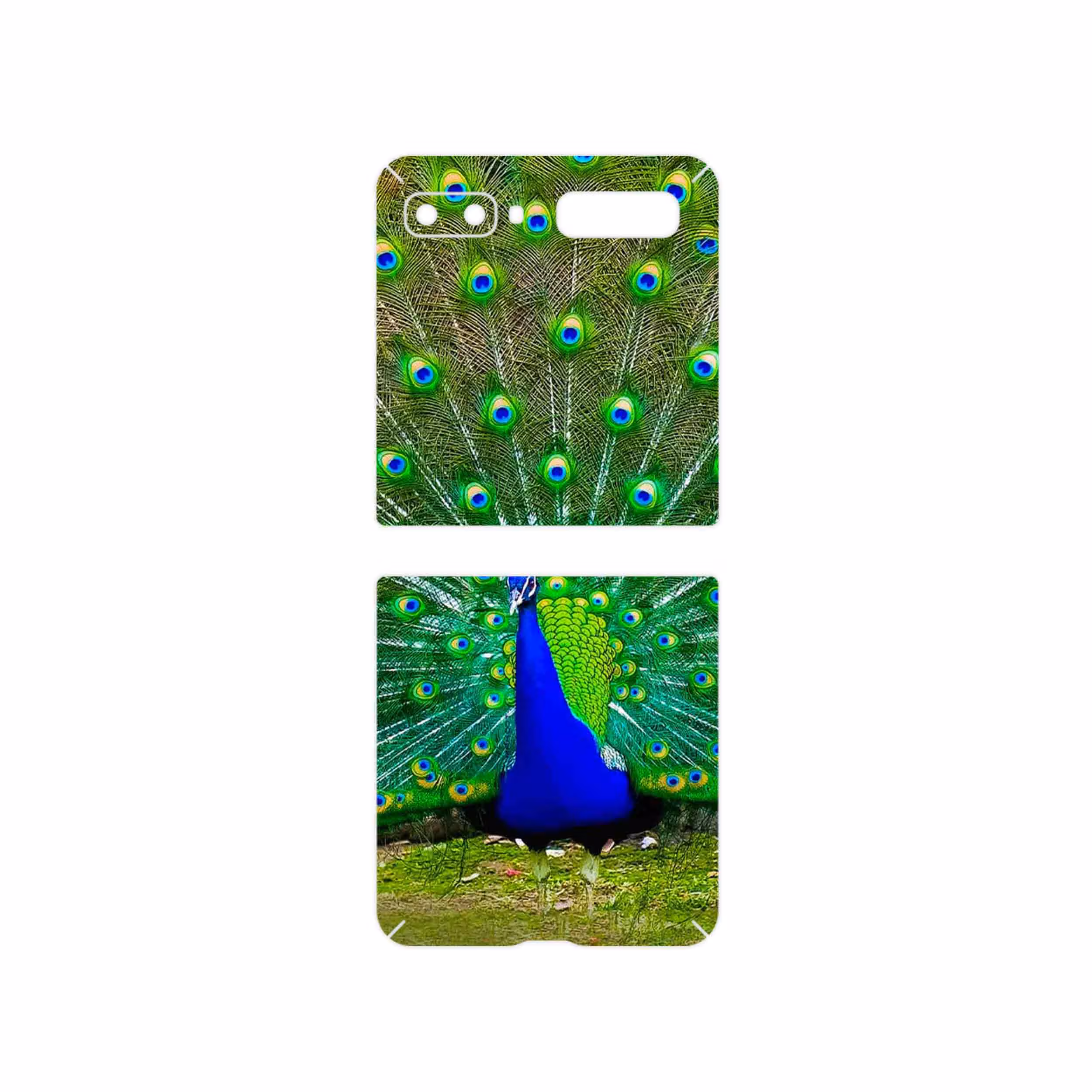 برچسب پوششی ماهوت مدل Peacock مناسب برای گوشی موبایل سامسونگ Galaxy Z Flip