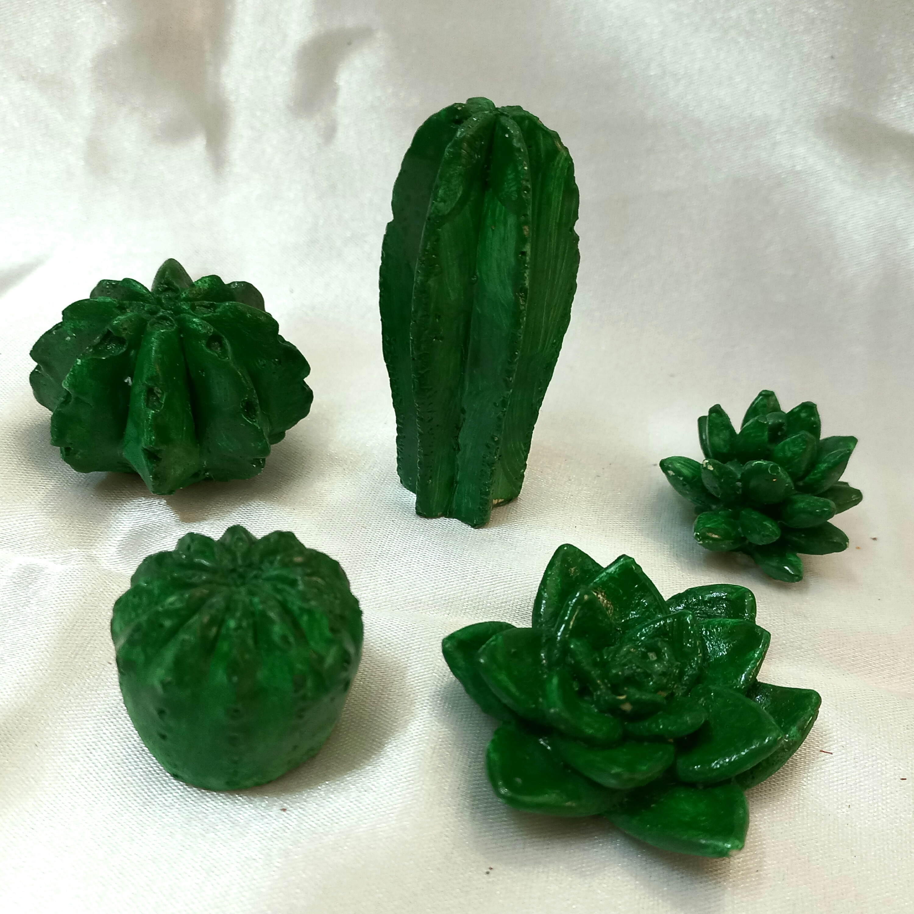 پک پنج تایی قالب سیلیکونی کاکتوس وارمری