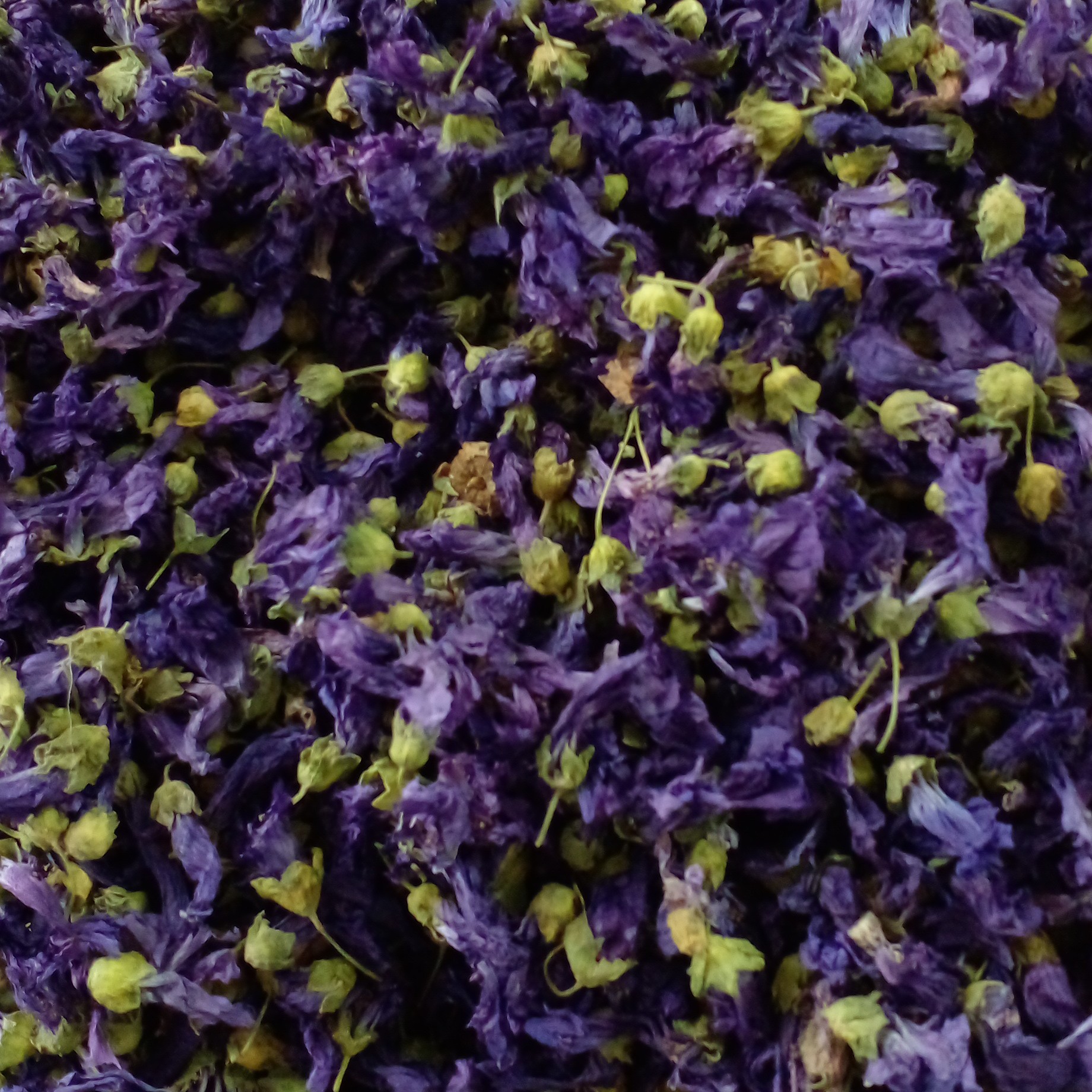 پنیرک یا ختمی خبازی (50 گرم)