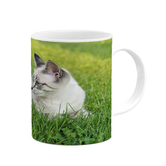 ماگ کاکتی طرح گربه مدل mgs17434