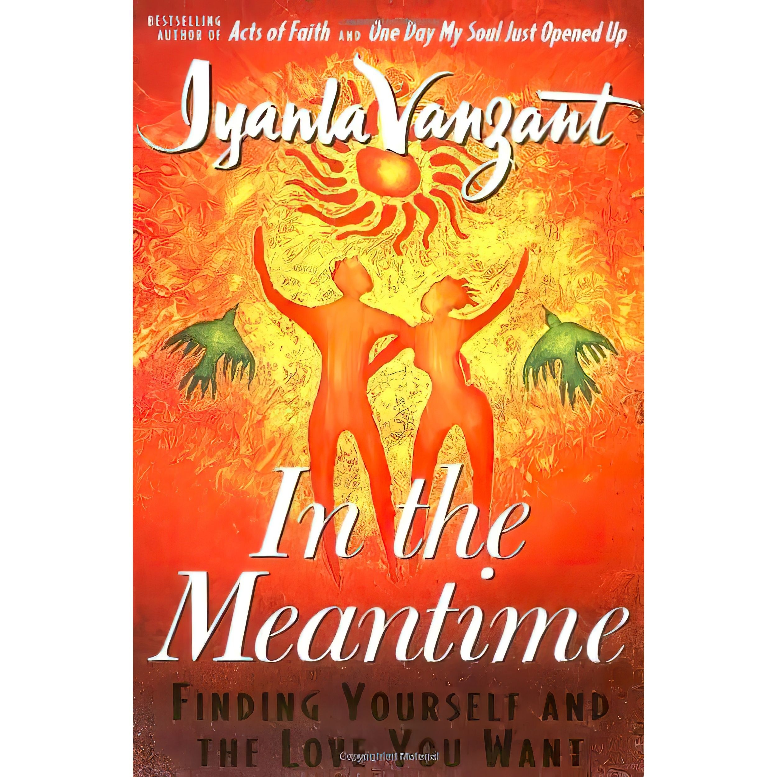 کتاب زبان اصلی In the Meantime اثر Iyanla Vanzant انتشارات Simon Schuster Ltd