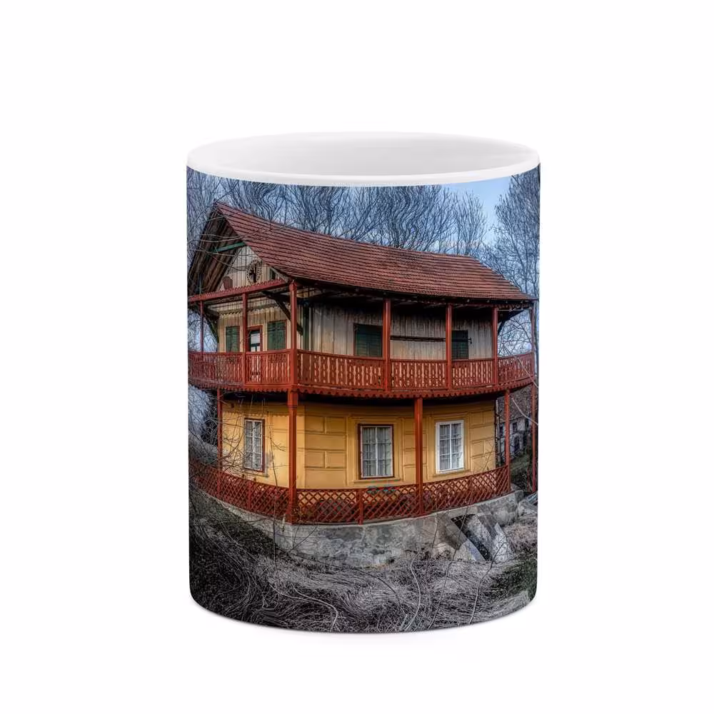 ماگ کاکتی طرح خانه ویلایی مدل mgs16228