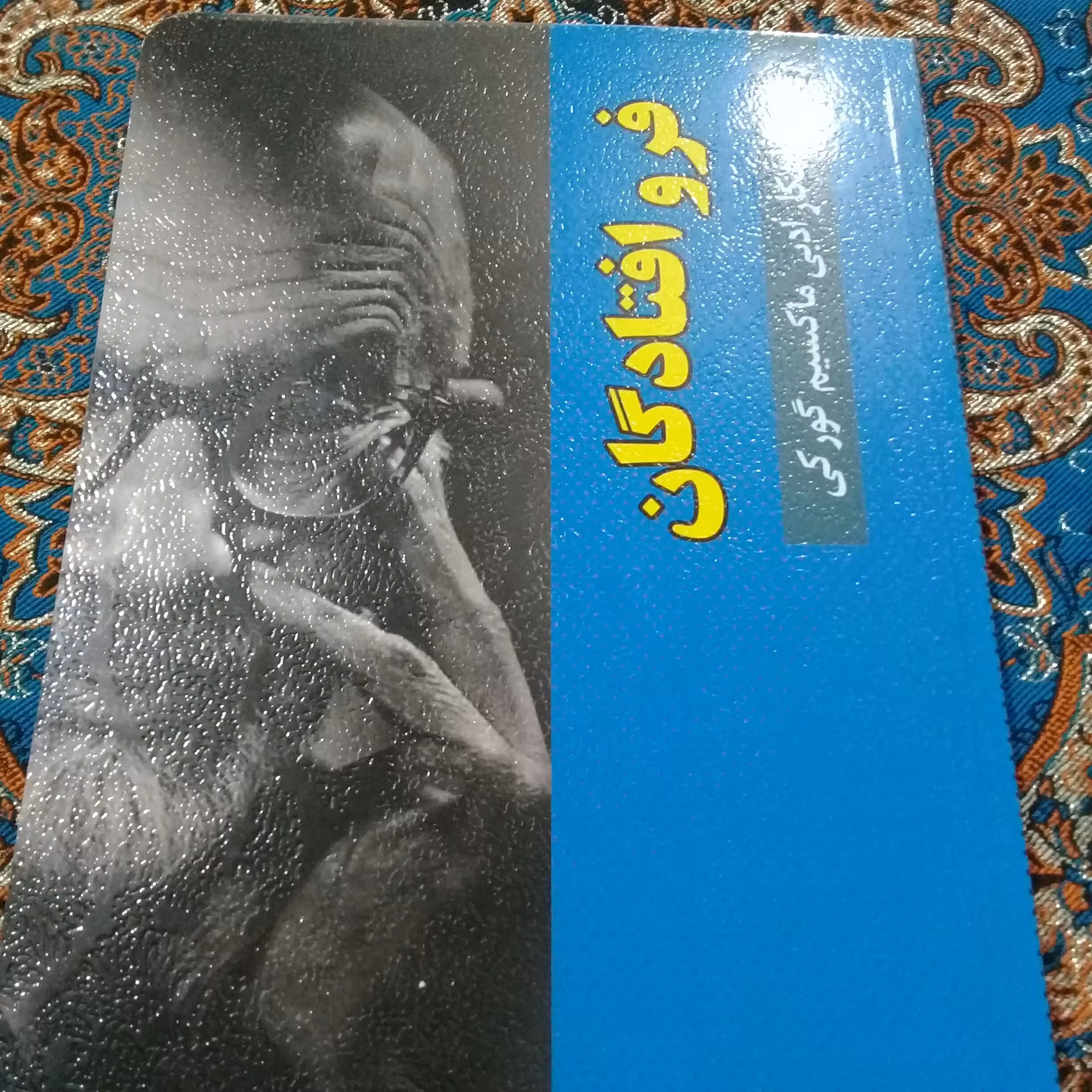 کتاب جذاب فرو افتادگان شاهکار ادبی از ماکسیم گورکی مترجم سعید نفیسی