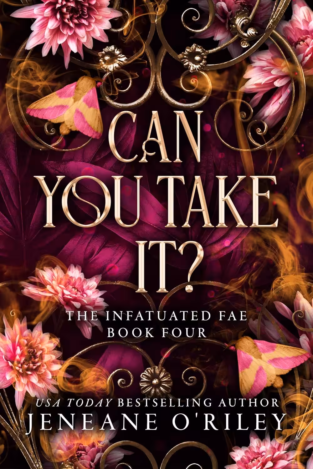 Can You Take It (Infatuated Fae Book 4)