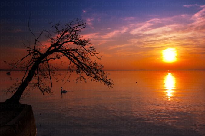 خرید و دانلود عکس Nature-Part-7 کد 37180 | پیک فاکس | Pic Fox