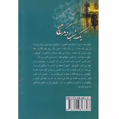 کتاب یک شب و دیگر هیچ اثر زهرا دلگرمی نشر آرینا