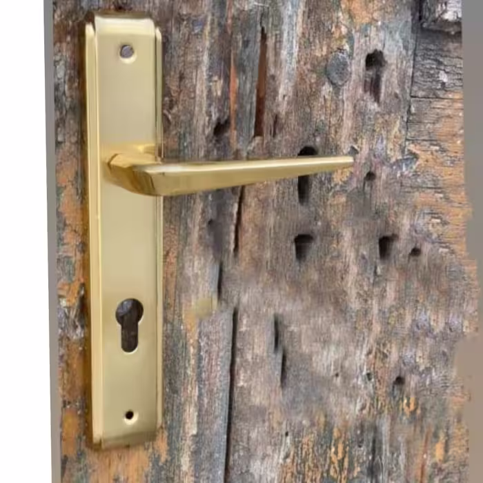 دستگیره در مدل A110 سویچی MODERN پلاک بسته 2 عددی