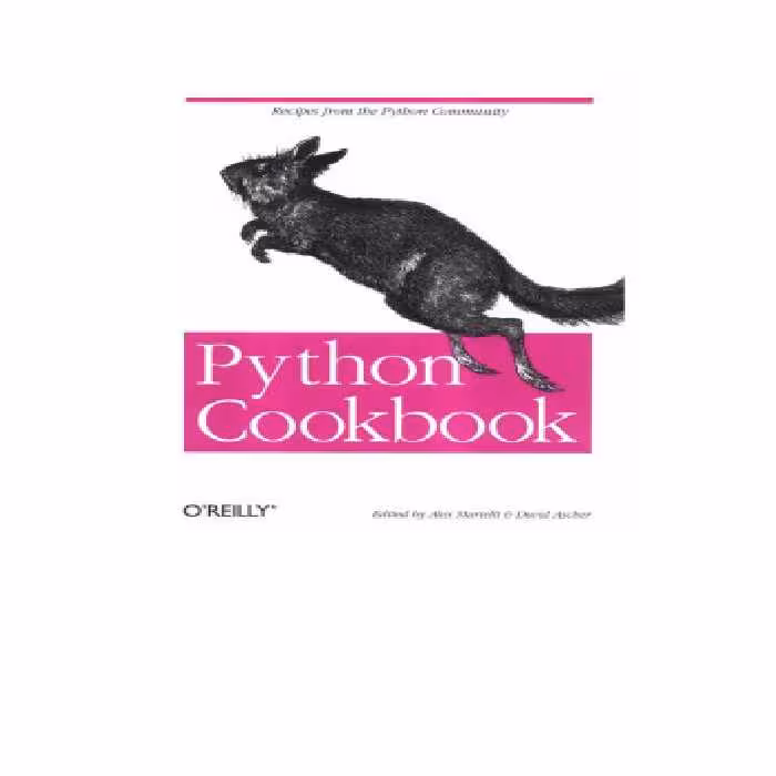 خرید و دانلود نسخه کامل کتاب Python Cookbook