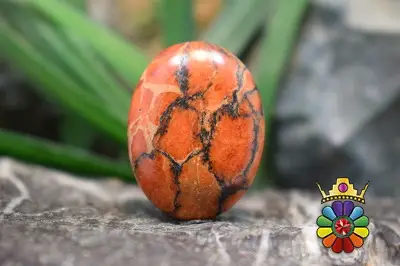 مرجان فسیلی