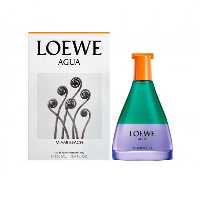 عطر ادکلن لووه آگوا میامی بیچ LOEWE Agua Miami Beach • خوش آرا