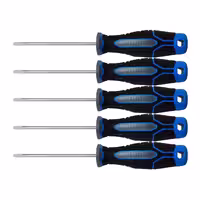 پیچ گوشتی دوسو تیوان مدل AT - 4x100 مجموعه 5 عددی