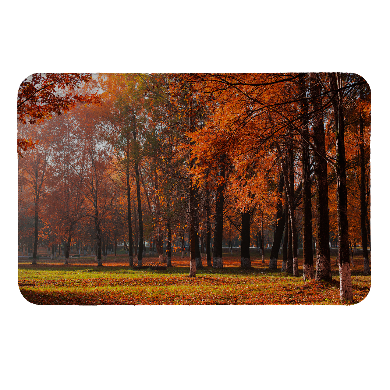  رطوبت گیر کنار سینک کد 159