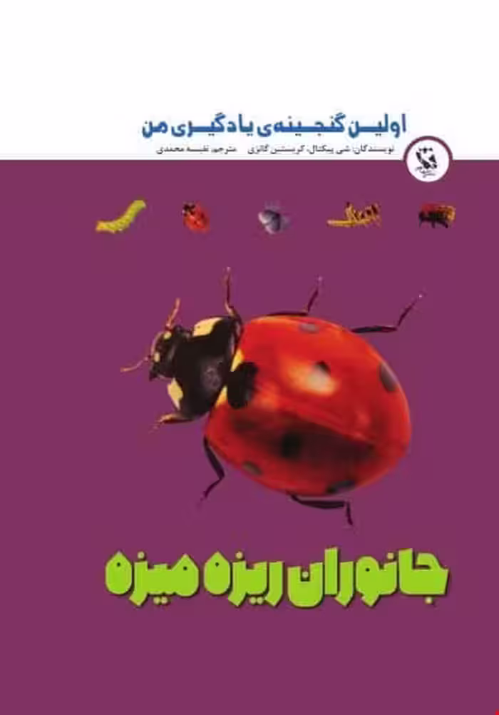 اولین گنجینه ی یادگیری من (جانوران ریزه میزه) - کتاب‌فروشی کوچه کتاب