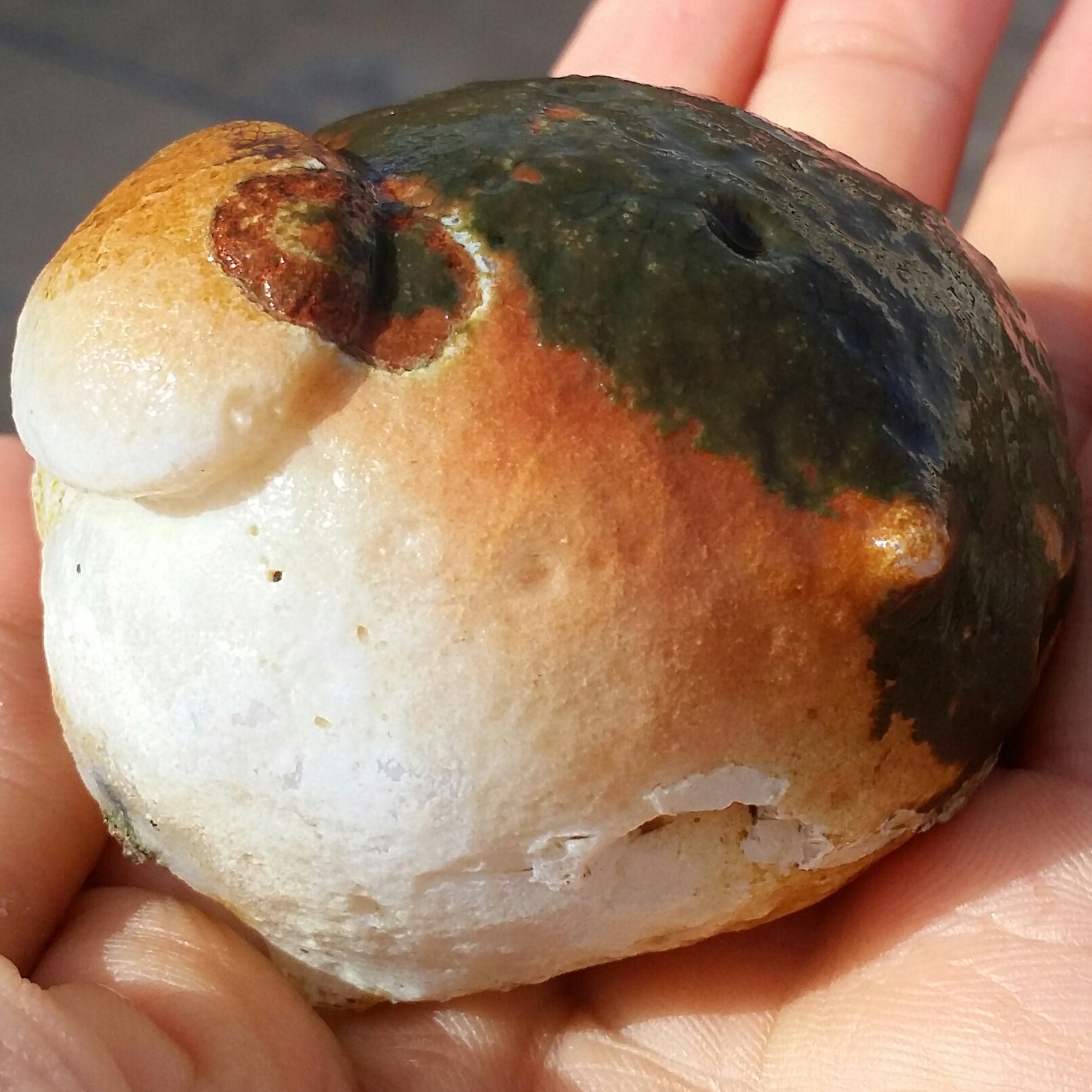 سنگ راف خام عقیق توپی برش نخورده 100 در 100 طبیعی سرشار از خواص شاهکار خلقت محشر
کد 9064