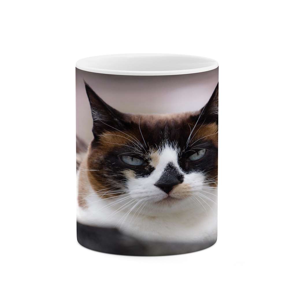 ماگ کاکتی طرح گربه مدل mgs14577