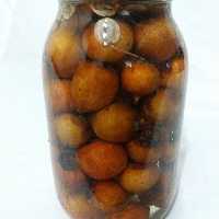 ازگیل شور