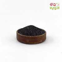 تخم شربتی ریحان