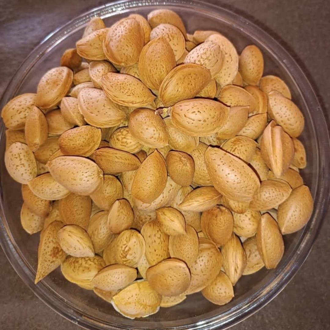 بادام درختی امسالی با کیفیت عالی حجم یک کیلو