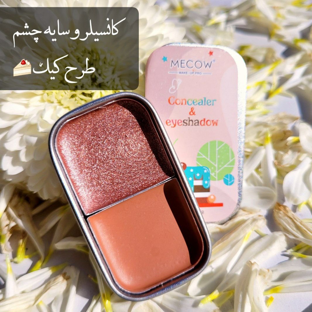 کانسیلر و سایه چشم