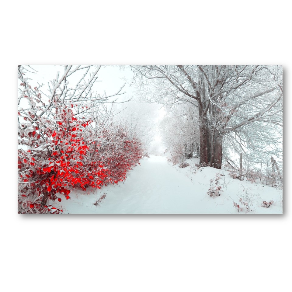 تابلو شاسی طرح زمستان کد 12