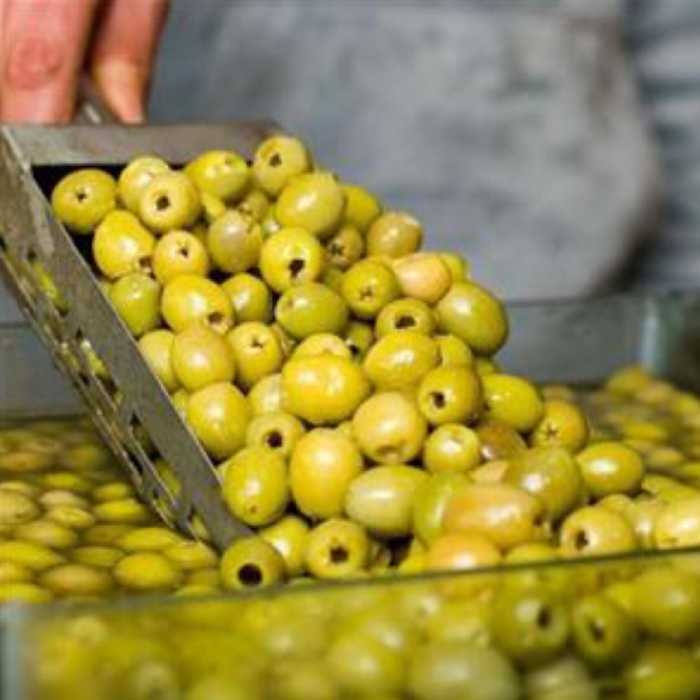 وکیوم زیتون بی هسته ممتاز400گرمی