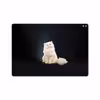 برچسب پوششی ماهوت مدل Persian cat مناسب برای تبلت اپل iPad Pro 10.5 2017 A1701