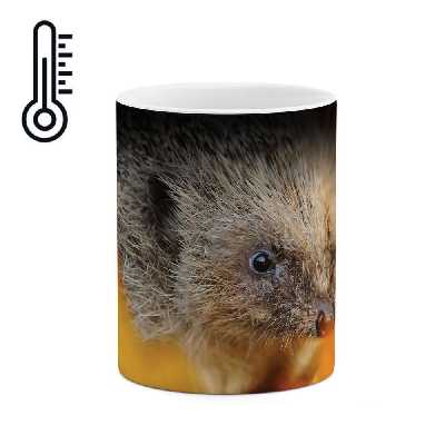 ماگ حرارتی طرح جوجه تیغی مدل mgph01521