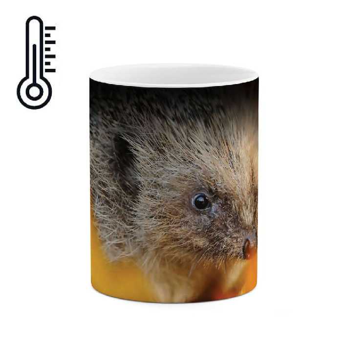 ماگ حرارتی طرح جوجه تیغی مدل mgph01521