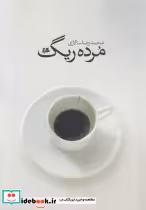 قیمت و خرید کتاب مرده ریگ نشر هیلا اثر محمد رضا سالاری | ایده بوک
