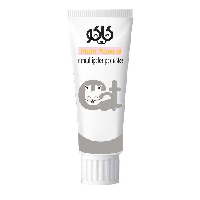 خمیر مینرال و مولتی ویتامین گربه کاکو مدل Multi Paste وزن 100 گرم