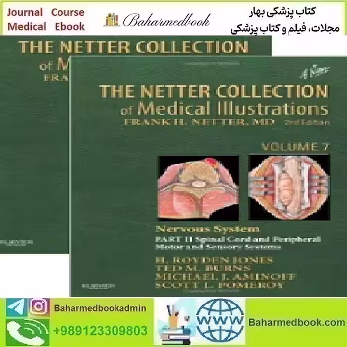 The Netter Collection of Medical Illustrations Nervous System