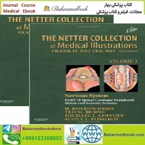 The Netter Collection of Medical Illustrations Nervous System