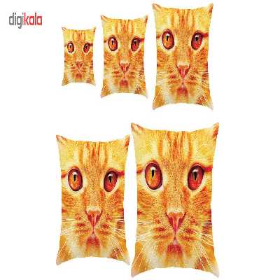 کوسن رنس کد S5-10049 مجموعه 5 عددی کوچک تا بزرگ