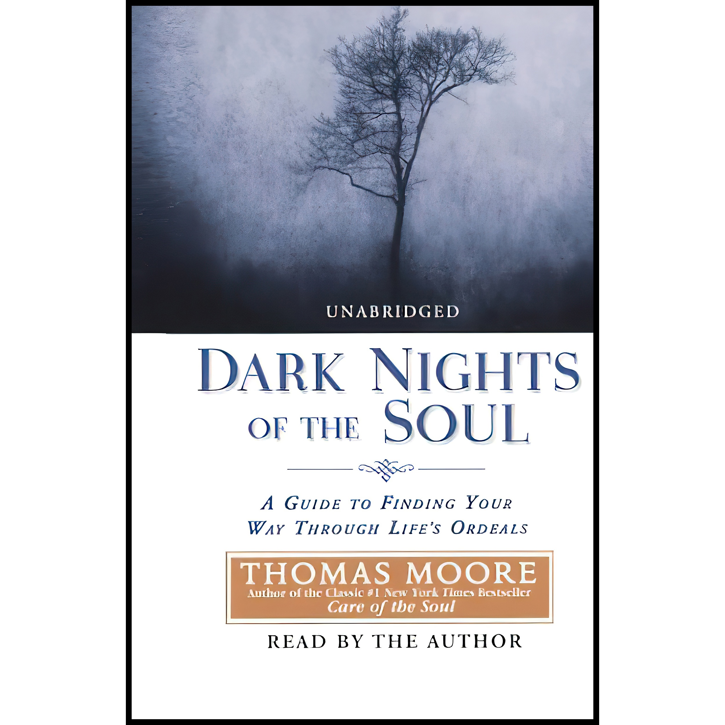 کتاب Dark Nights of the Soul اثر Thomas Moore انتشارات Penguin 