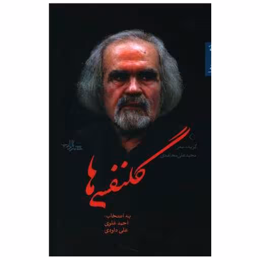کتاب گلنفسی ها اثر محمد علی مجاهدی