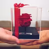 گل رز جاودان دکوفیوره مدل RedLove